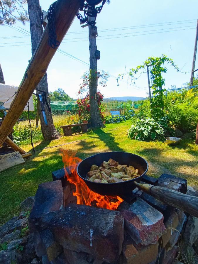 Dom Na Przedgorzu-Apartamenty Z Widokiem Na Gory Świeradów-Zdrój Extérieur photo